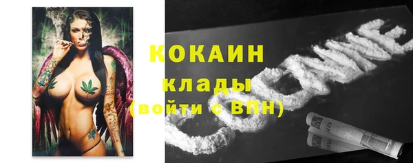 дурь Переславль-Залесский