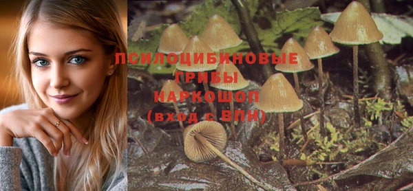 экстази Абаза