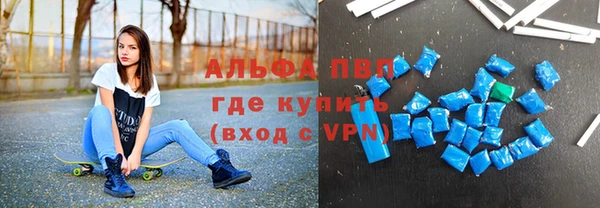 спиды Пересвет