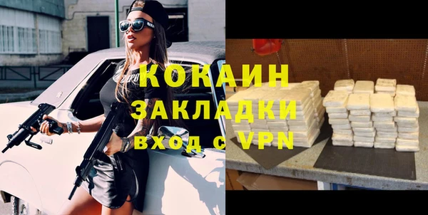 спиды Пересвет