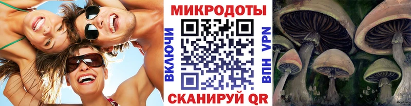 где можно купить наркотик  Отрадное  blacksprut tor  Галлюциногенные грибы MAGIC MUSHROOMS 