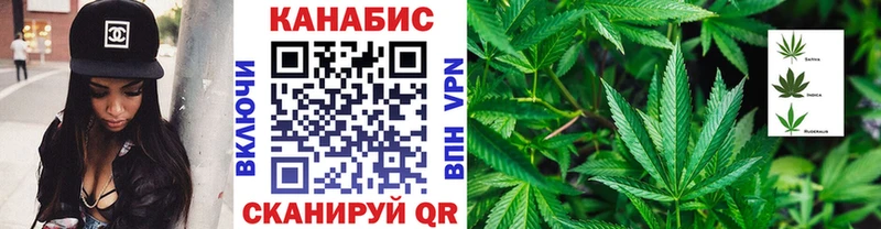 Канабис планчик Отрадное